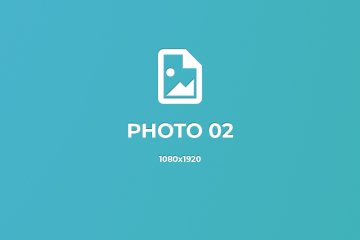 Pellentesque accumsan tortor id lacus gravida